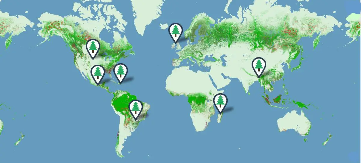 Forestry Map, PrintReleaf, Alliance Document Technologies