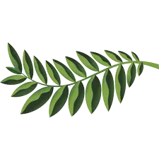 Native Woodlands, PrintReleaf, Alliance Document Technologies